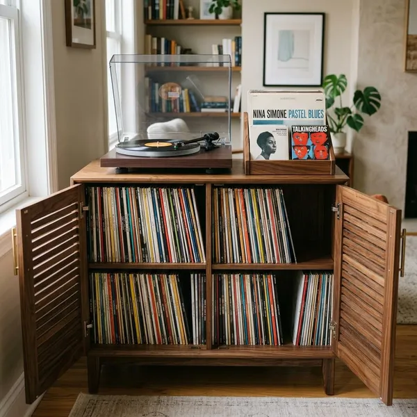 Best Vinyl Record Storage Cabinet Styles